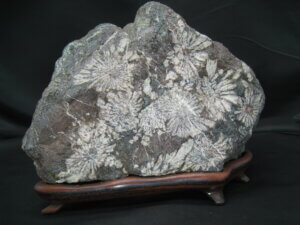 福岡市早良区にて菊花石を買取りました/骨董品買取・福岡