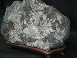 大小入り乱れた菊模様が素敵ですね/骨董品の買取は福岡玄燈舎